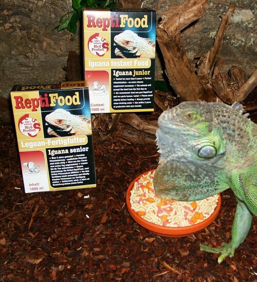 Reptile Food Iguana Senior 2000 ml, Karton mit 12 Pack