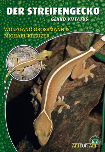 Der Streifengecko, Gekko vittatus (W. Grossmann & M. Kreuzer)