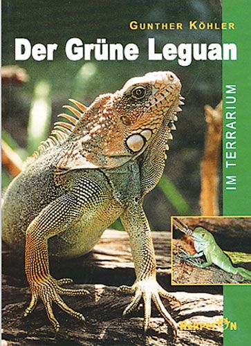 Der Grüne Leguan im Terrarium (Paperback)