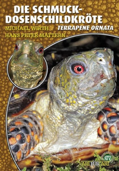 Die Schmuck-Dosenschildkröte - Terrapene ornata (M. Wirth / H.P. Mattern)