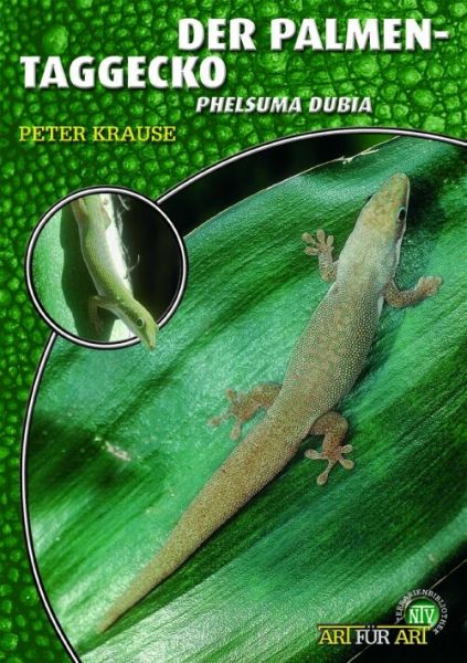 Der Palmentaggecko, Phelsuma dubia Peter Krause