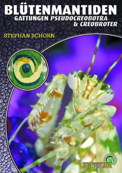 Blütenmantiden, Stephan Schorn
