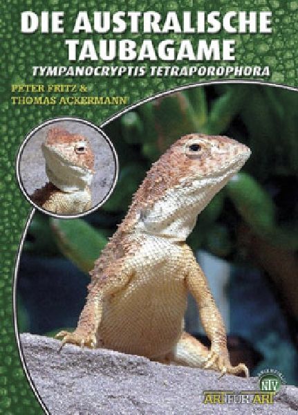Die Australische Taubagame - Tympanocryptis tetraporophora (P. Fritz &amp; T. Ackermann)