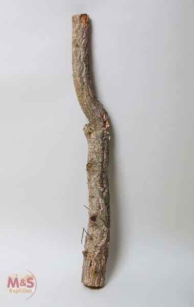 Zierkork Tronchos -einfach- ca.100 cm ( ca. 1-2 kg )