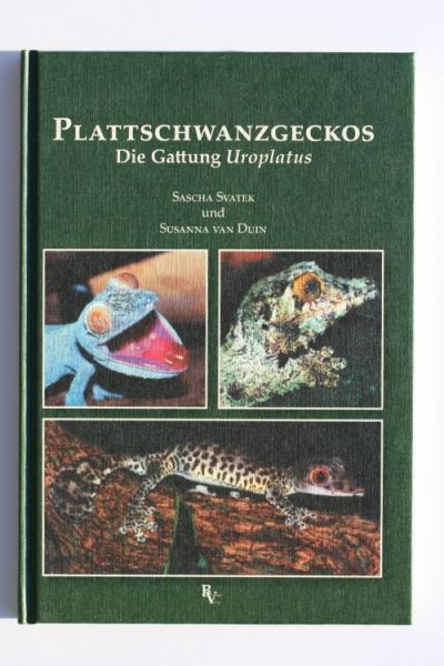 antiquarischer Restposten: Plattschwanzgeckos, Die Gattung Uroplates