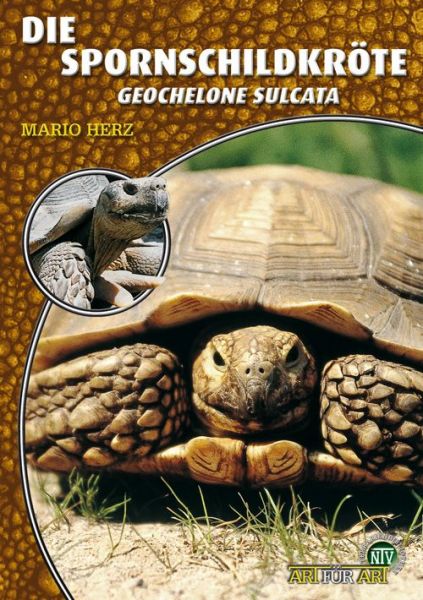 Die Spornschildkröte, Mario Herz