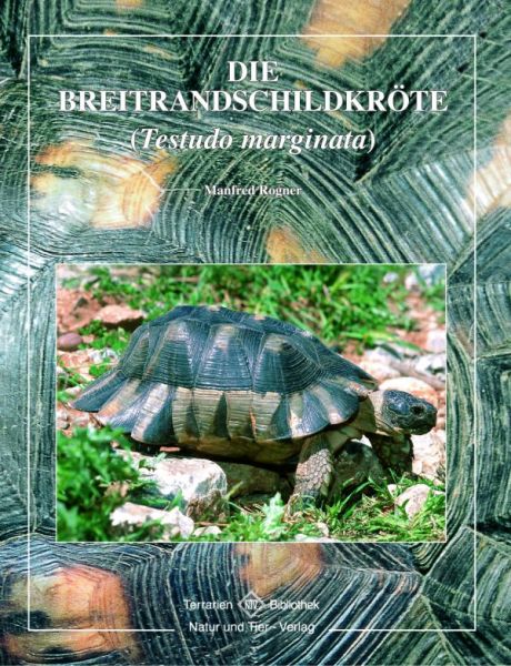 Die Breitrandschildkröte (Manfred Rogner)