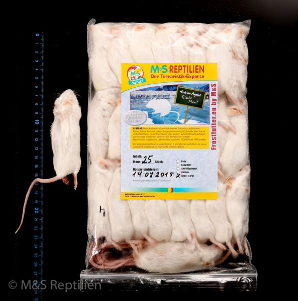 1 (eine) Maus large/XL, gefroren, ca. 25-35g