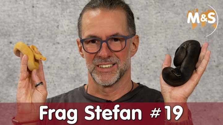 2023-02-12-Frag-Stefan-19