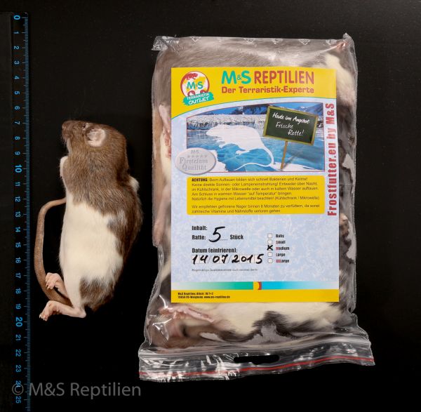 1 (einzelne) Ratte mittel, gefroren, ca. 100-150g