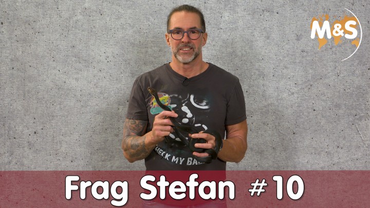 2020-12-11-Frag-Stefan-10