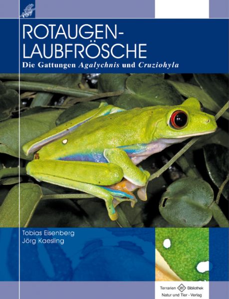 Rotaugenlaubfrösche, Die Gattung Agalychnis und Cruziohyla, Eisenberg/Kaesling