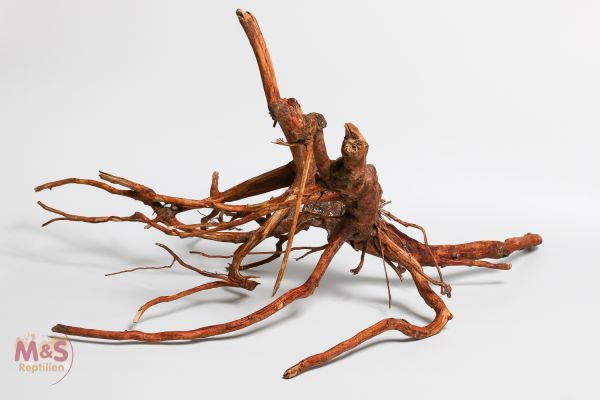 ''Lagune''Driftwood (Treibholz ) ''Hibiscus tiliaceus'' 65-90 cm (large)