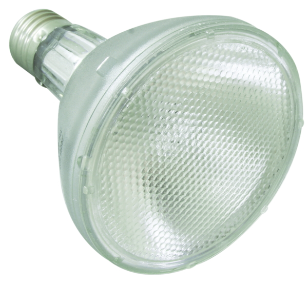 ReptiZoo Halogen Spot (UVA Basking) Lampe 100 Watt (PAR30100)