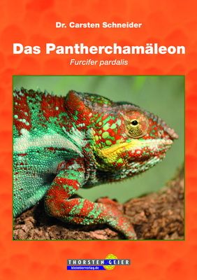 Das Pantherchamäleon, Furcifer pardalis (Carsten Schneider)