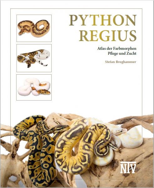 NEU: Python regius (Atlas, Pflege, Zucht) Stefan Broghammer 2.Auflage