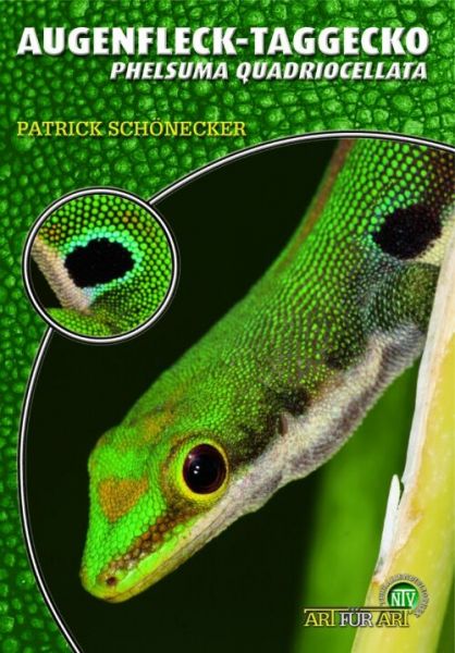 Der Augenfleck-Taggecko - Phelsuma quadriocellata (Patrick Sch&o