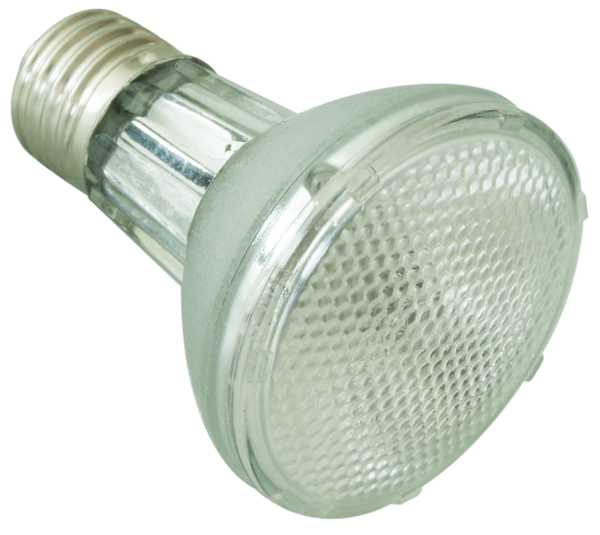 ReptiZoo Halogen Spot (UVA Basking) Lampe 35 Watt (PAR2035)