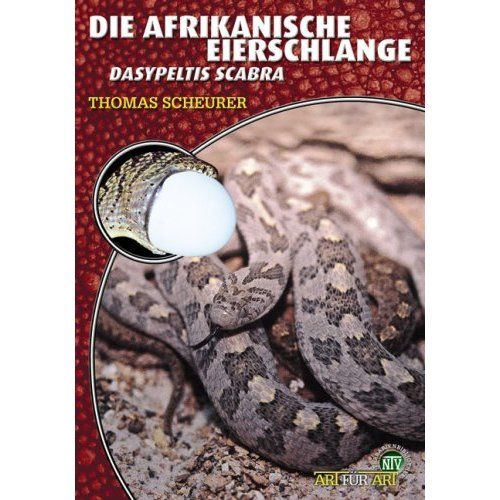 Die Afrikanische Eierschlange - Dasypeltis scabra (Thomas Scheurer)