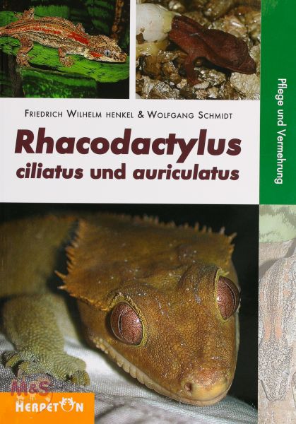 Rhacodactylus ciliatus und auriculatus, Pflege und Vermehrung (Kronengecko) Wilhelm Henkel &amp; Schmi