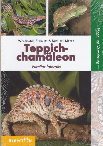 Teppichchamaeleons, Furcifer lateralis Michael Meyer & Wofgang S
