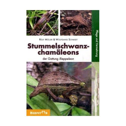 Stummelschwanzchamaeleons, der Gattung Rieppeleon Rolf Müller &amp;