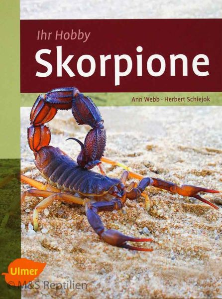 Skorpione, Ihr Hobby
