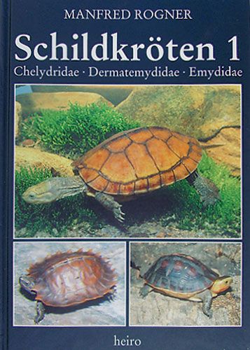antiquarischer Restposten: Schildkröten 1