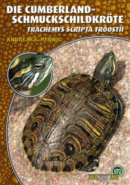 Die Cumberland Schmuckschildkröte, Trachemys scripta troostii