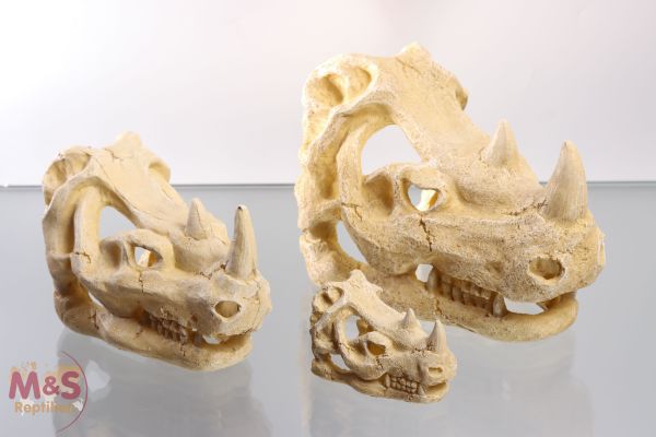ReptiZoo Nashornschädel (Rhino Skull Hide Cave) (ERS35)