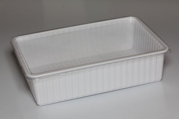 Kunststoffbox weiß , XL (36x24x9cm), Deckel transparent