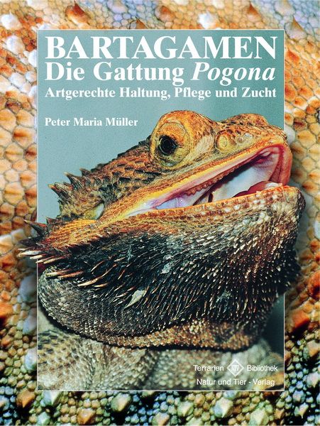 Bartagamen - die Gattung Pogona
