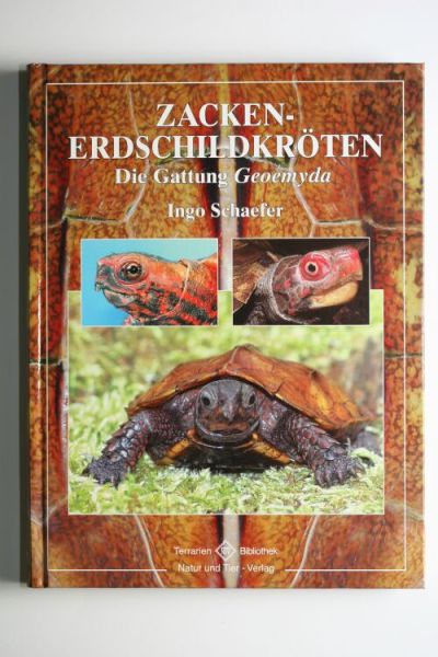 Zacken-Erdschildkröten von I. Schäfer