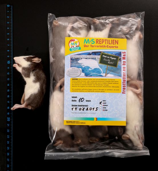 1 (einzelne) Ratte small, gefroren, ca. 60-90g