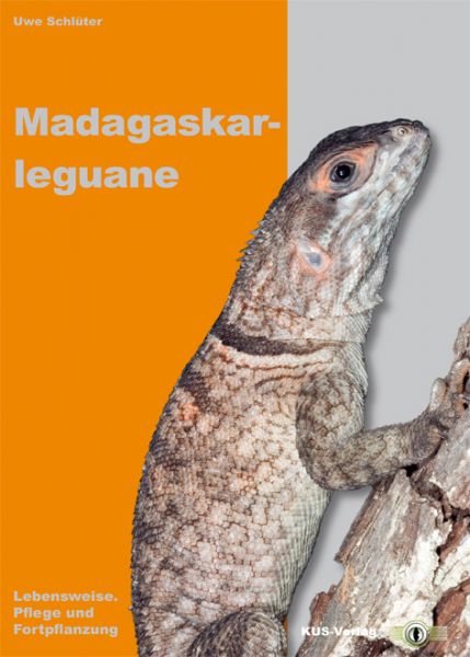Madagaskarleguan - Lebensweise, Pflege und Zucht (Uwe Schlüter)