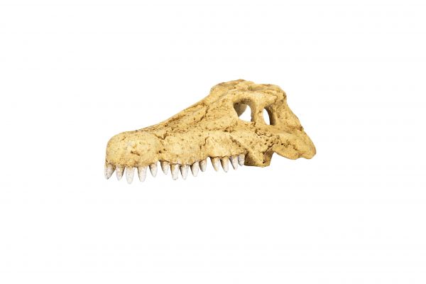ReptiZoo Krokodilschädel (Crocodile Skull Hide Cave) (ERS34)