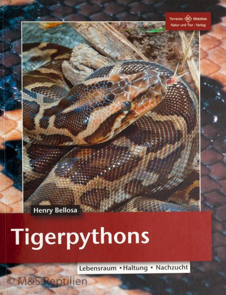 Python Molurus - Der Tigerpython Henry Bellosa
