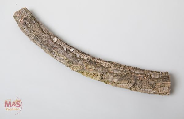 Zierkork Tronchos -einfach- ca.30-50 cm
