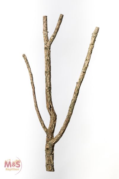 Zierkork Tronchos -verzweigt- ca.60-80 cm ( ca. 1kg)